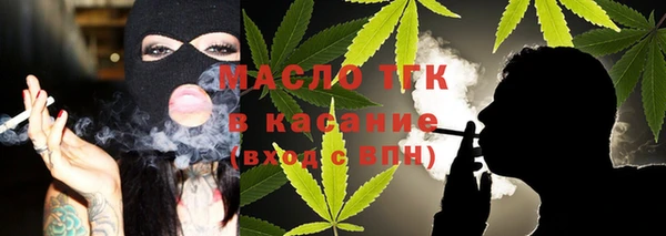 шишки Гусев