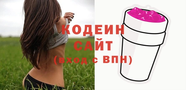 шишки Гусев