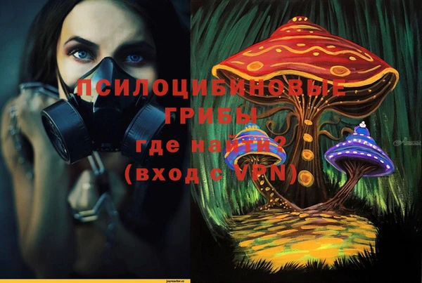 MESCALINE Гусь-Хрустальный