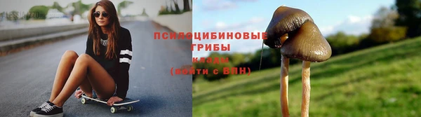 гашик Гусиноозёрск