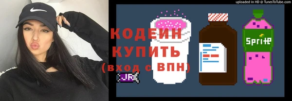 стафф Щигры