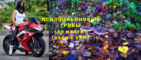 гашик Гусиноозёрск