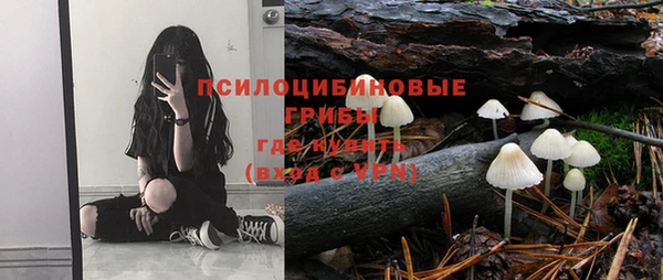 MESCALINE Гусь-Хрустальный