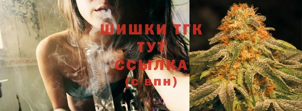 гашик Гусиноозёрск