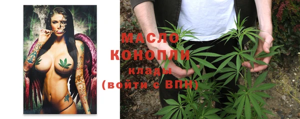 шишки Гусев