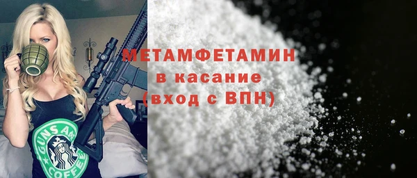 шишки Гусев